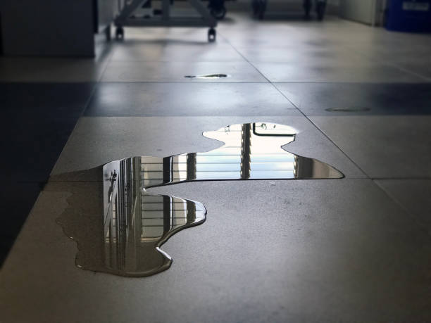 Best 24/7 water damage repair  in Kentfield, CA