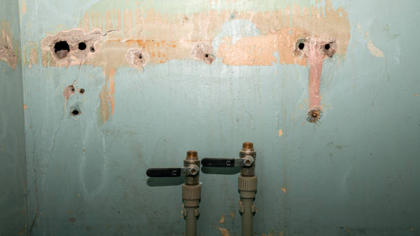 Best Residential water damage restoration  in Kentfield, CA