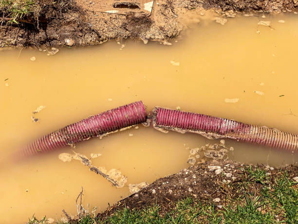  Kentfield, CA Water damage restoration Pros
